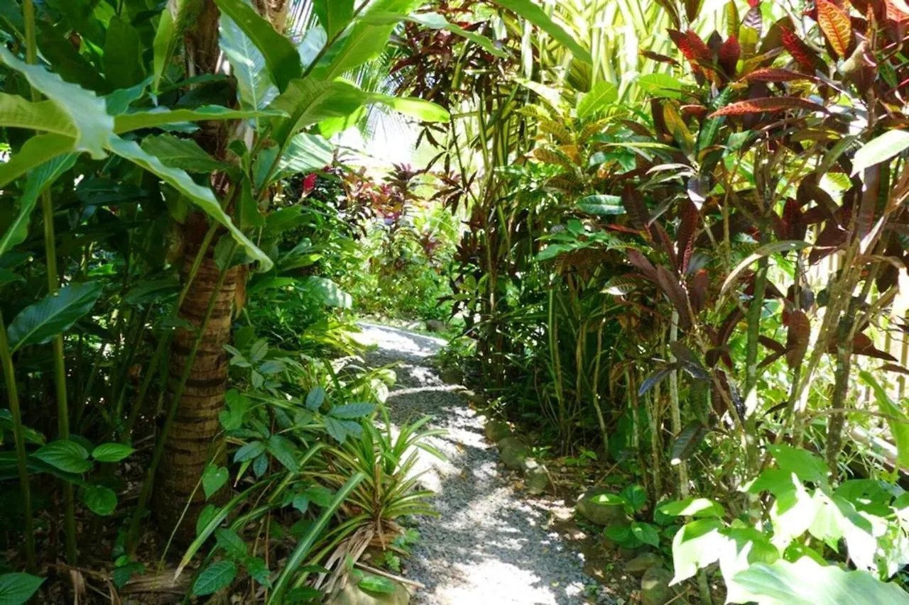 Bungalow Charmant A Pointe-Noire Guadeloupe